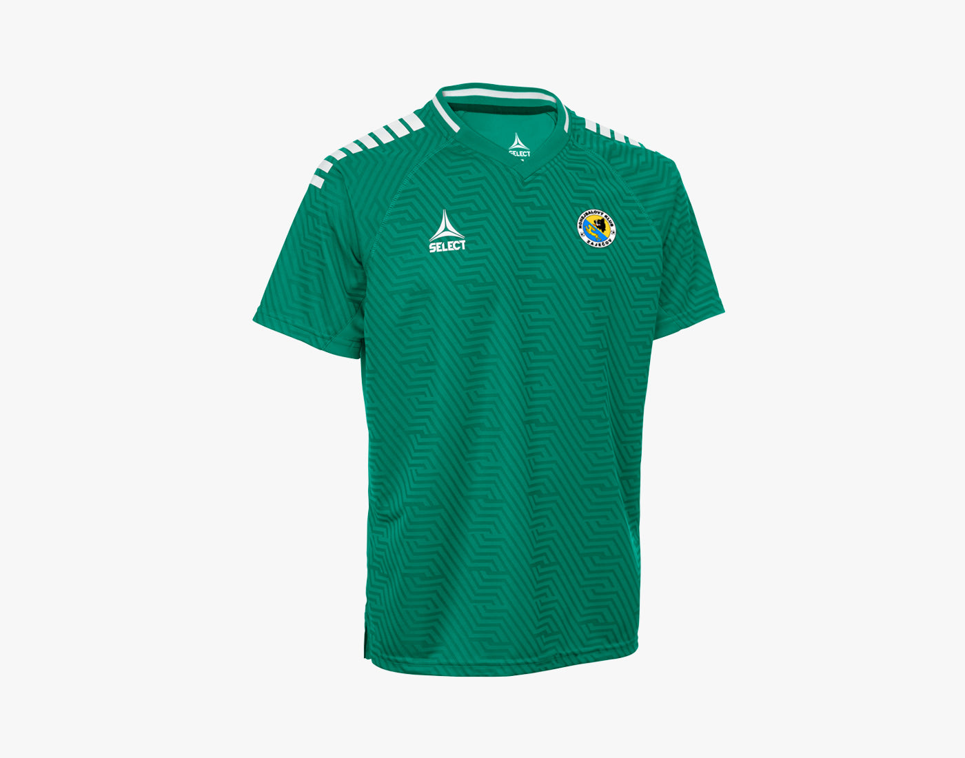 Hráčský dres Monaco zeleno bílá
